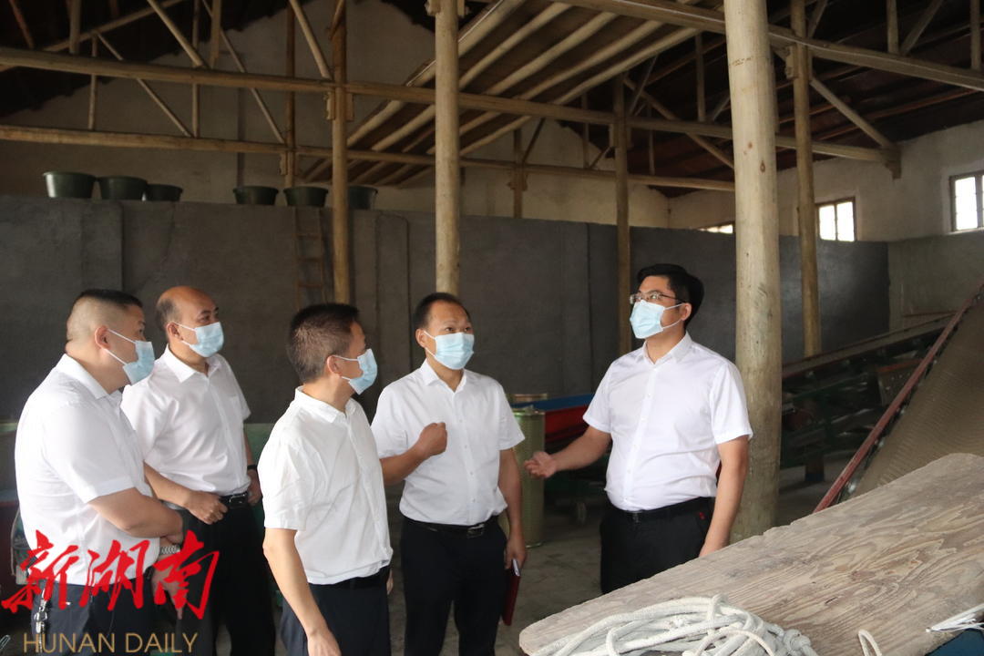 余勋伟调研县粮食收购工作_邵阳头条网